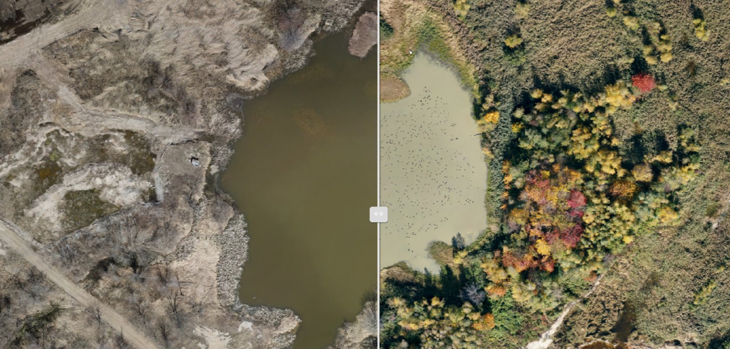 orthophoto